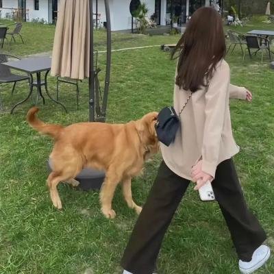 疑云密布